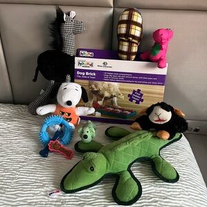 Assorted Dog squeak Toys Set